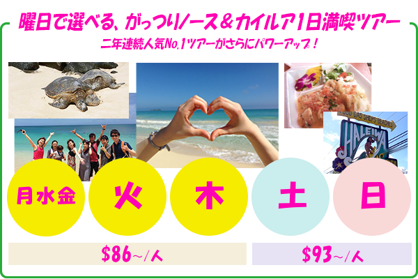 がっつりノース